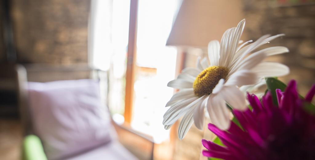 Casa Insol Guest House Denuy Екстериор снимка